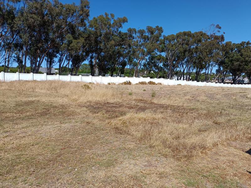 0 Bedroom Property for Sale in Darling Western Cape